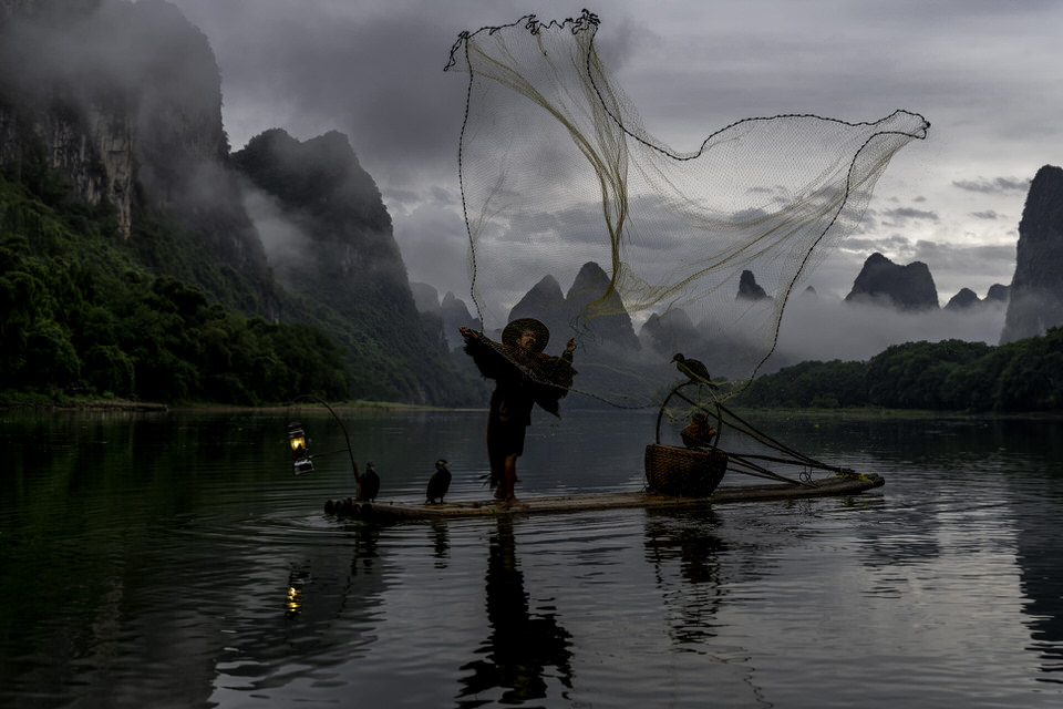 China's Cormorant Fishermen photo